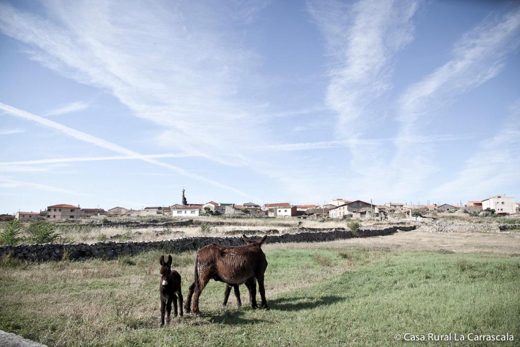 Casa Rural La Carrascala ซามอรา ภายนอก รูปภาพ